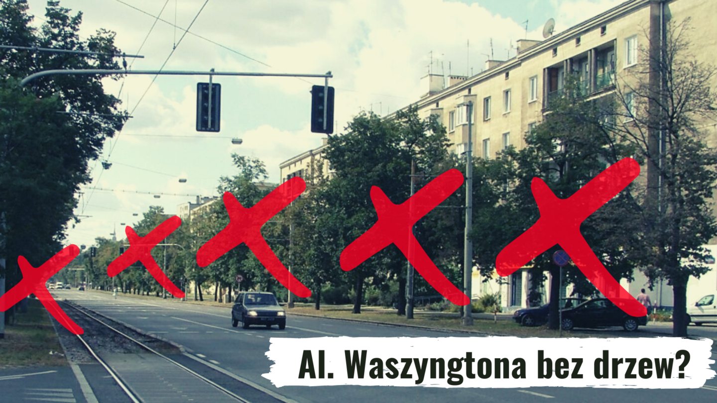 Kto chce wycinki drzew w al. Waszyngtona