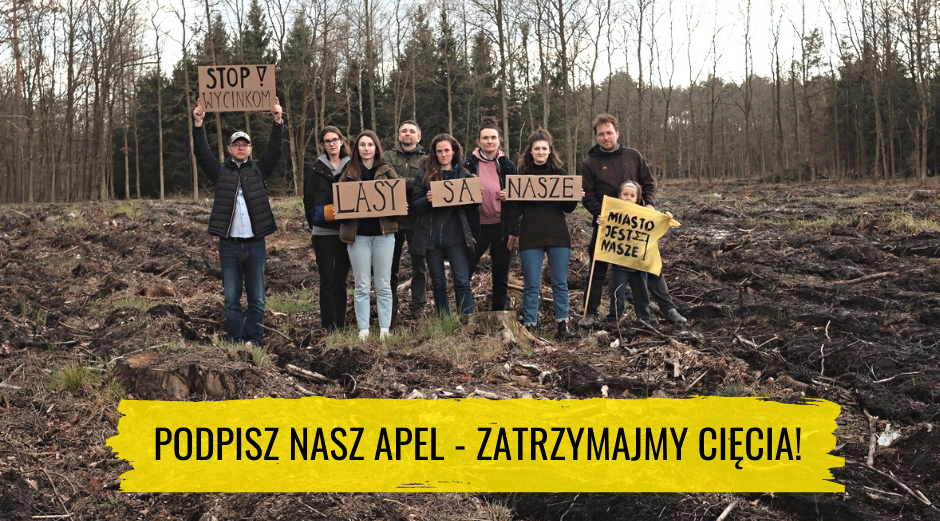 Zatrzymajmy wycinkę setek hektarów lasu w Warszawie i okolicach! [SZCZEGÓŁY + MAPY]