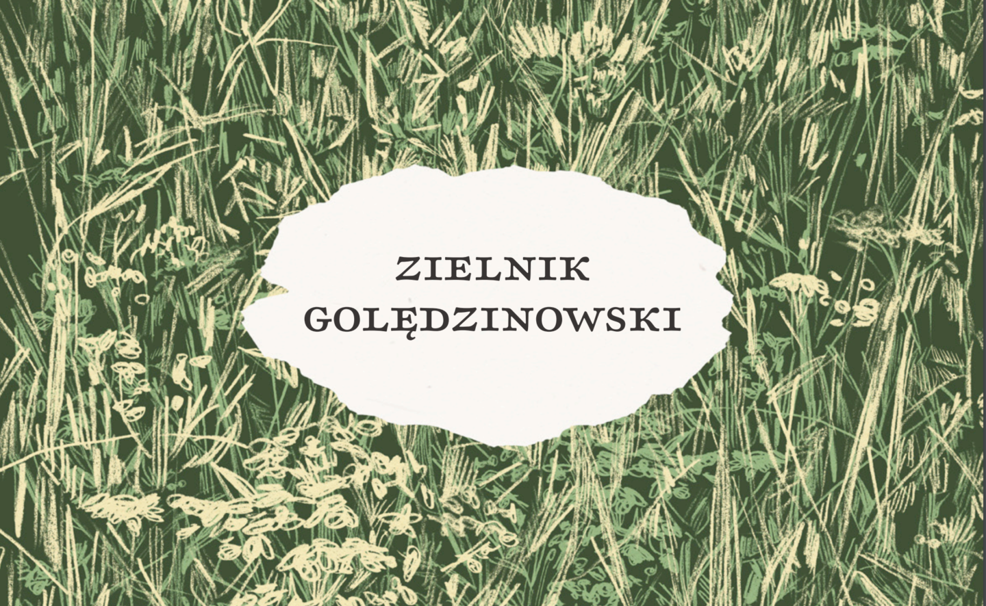 Powstał „Zielnik Golędzinowski” – w obronie dzikich łąk nad Wisłą